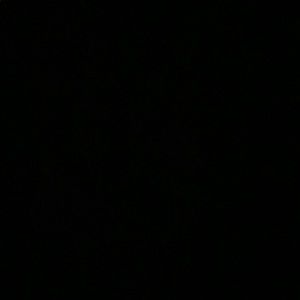 Meet your Posher, Evelyn